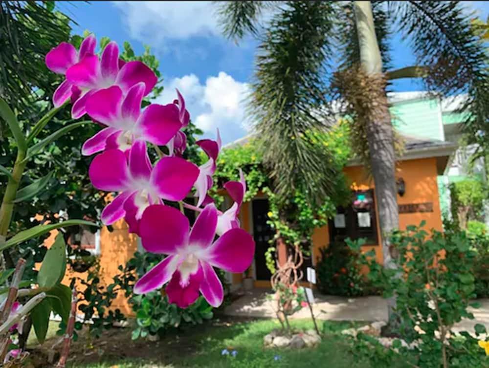 Buccaneer Beach Club Golful Dickenson Exterior foto