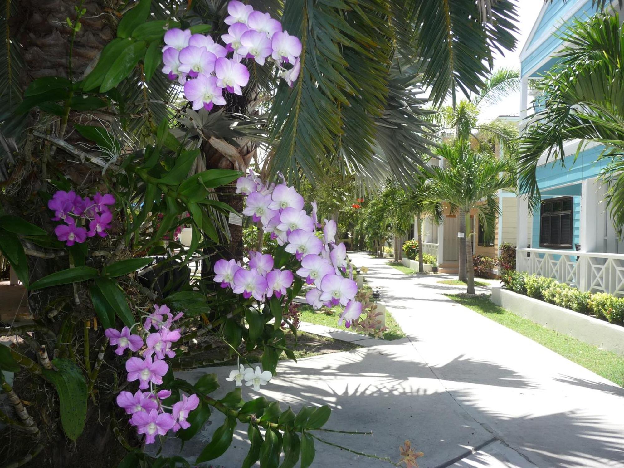 Buccaneer Beach Club Golful Dickenson Exterior foto