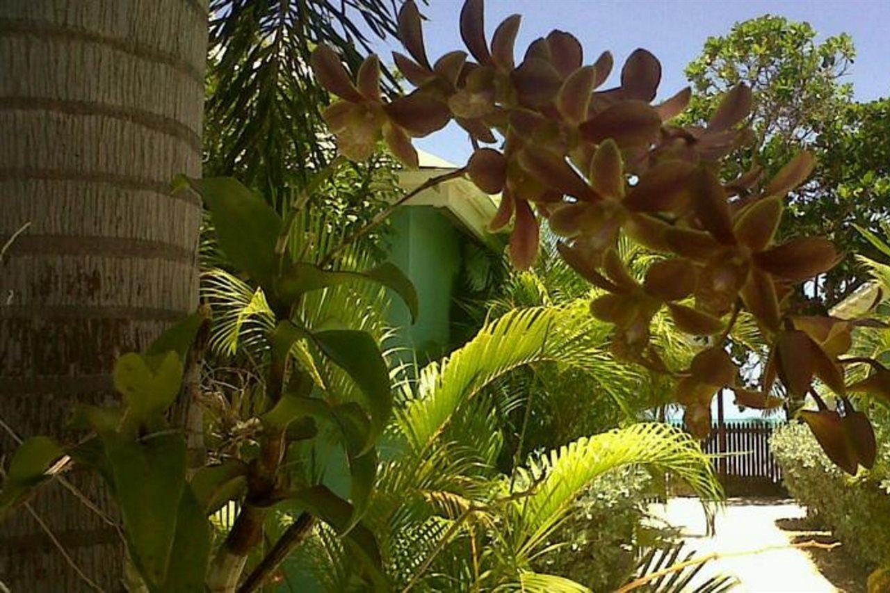 Buccaneer Beach Club Golful Dickenson Exterior foto