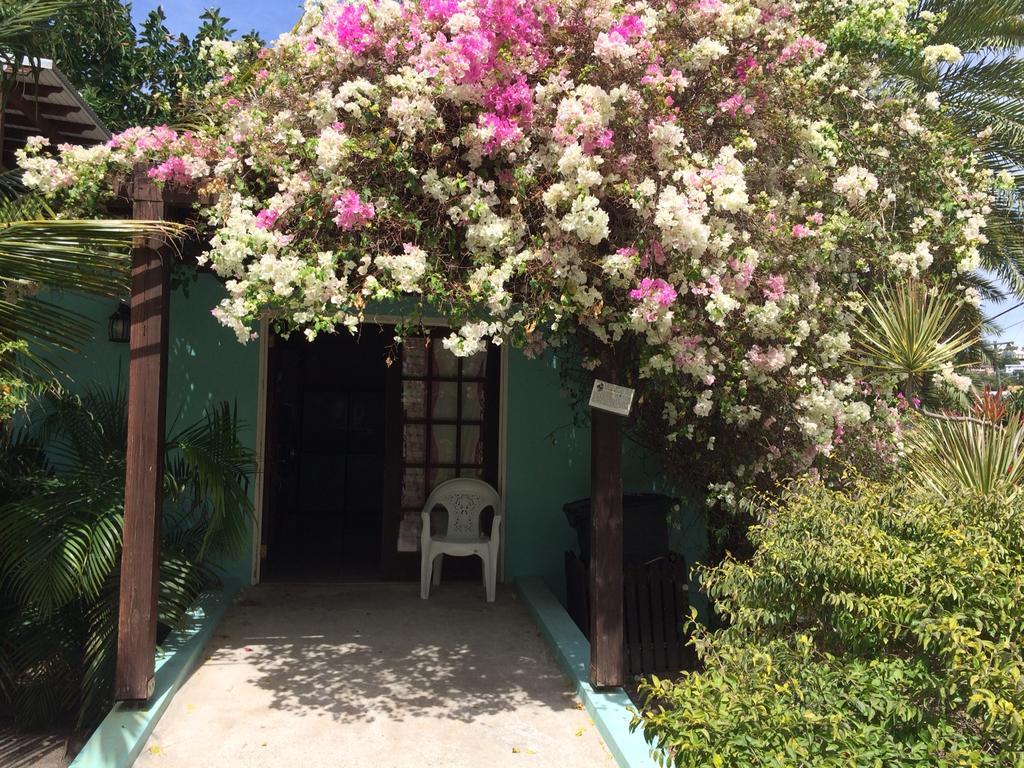 Buccaneer Beach Club Golful Dickenson Exterior foto