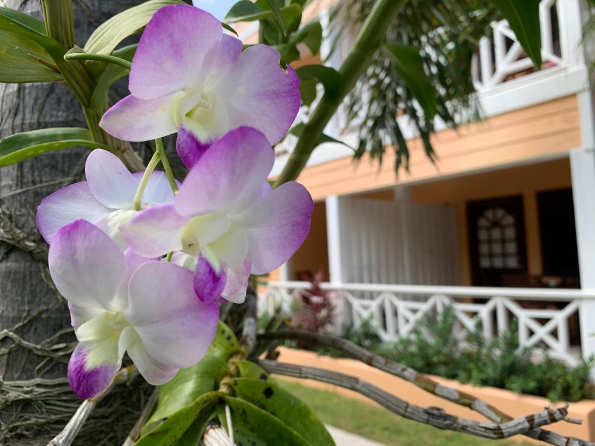 Buccaneer Beach Club Golful Dickenson Exterior foto